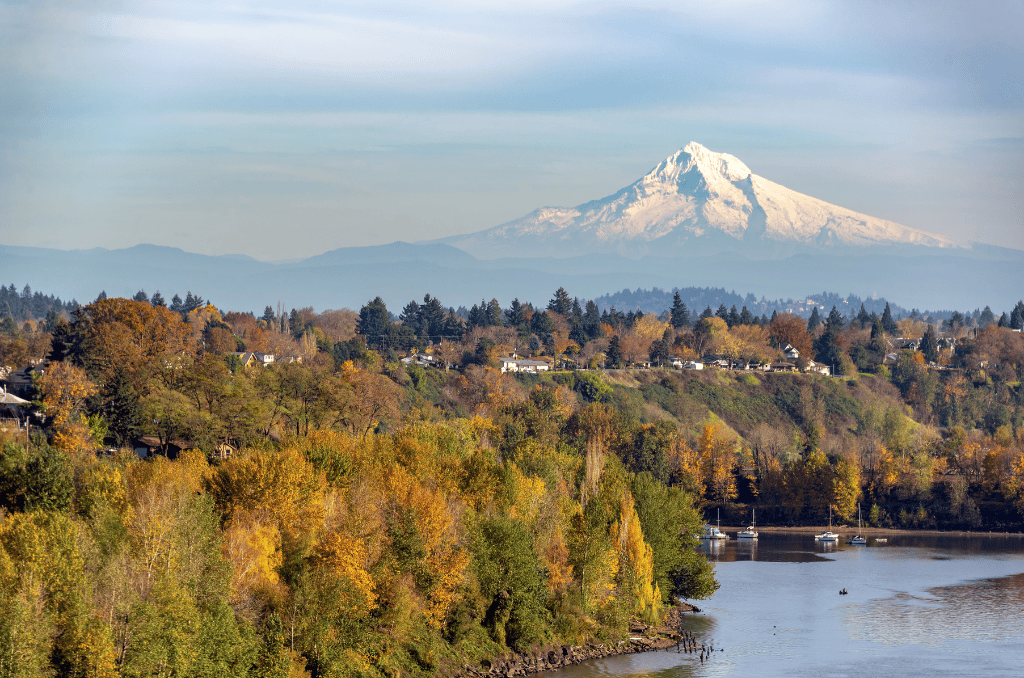Mount Hood with fall foliage